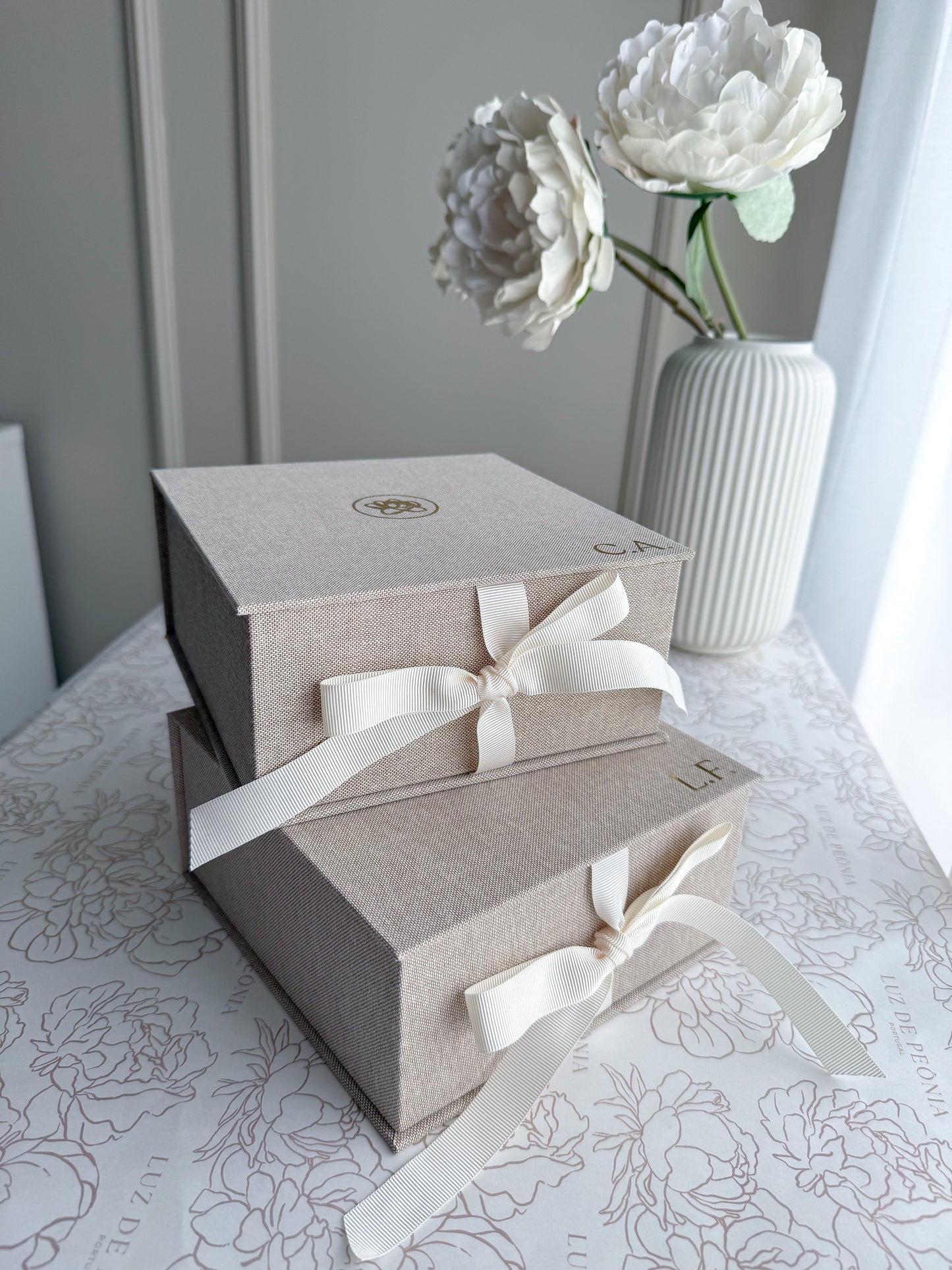 SPECIAL BOX (somente a caixa)